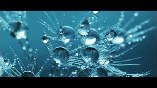 【1時間耐久BGM】アマオト / もっぴーさうんど【公式】