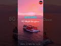 🎉 Epic 2025 New Year Countdown! 🎆 Best Party Vibes & Celebration Ideas! #tripbibo #travel #thailand