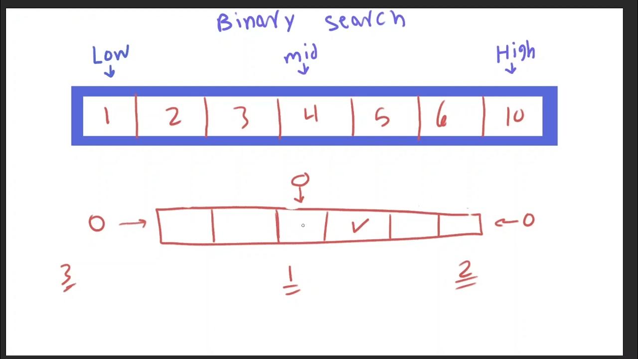 Sequential and Binary search algorithm - YouTube