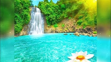 وَبَشِّرِ الَّذِينَ آمَنُوا بصوت القارئ أحمد النفيس