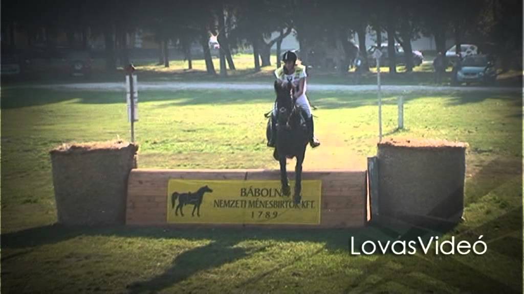 Bábolna Nemzeti Lovastusa 2012