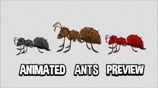 ant animation preview