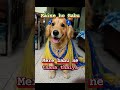 babu ne khanna kha liya#trending#nadia#girl#mydogjack