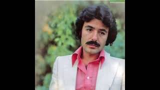 Ferdi Tayfur Sendemi Leyla