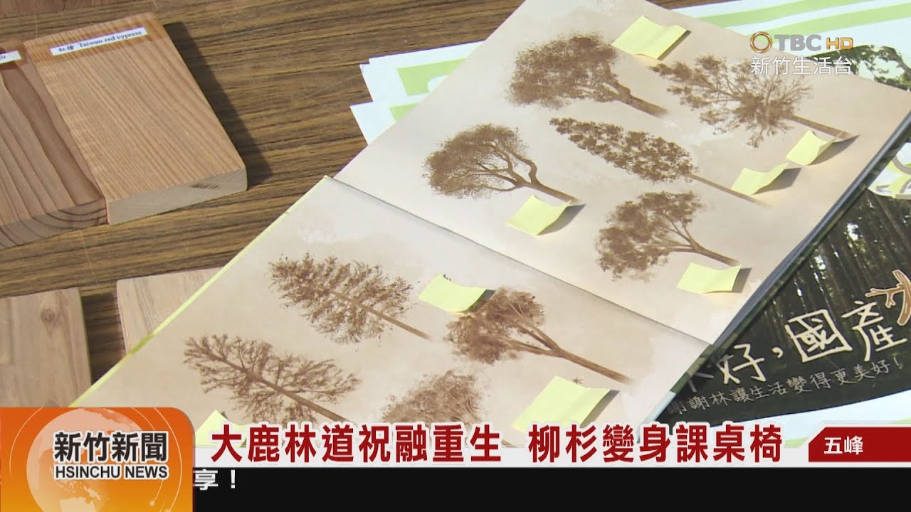 大鹿林道祝融重生 柳杉變身課桌椅