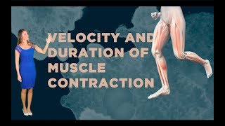 Muscle Contraction: Velocity &amp; Duration