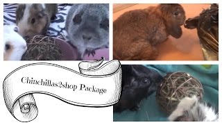 Opening a Chinchillas2shop Package With The Pets