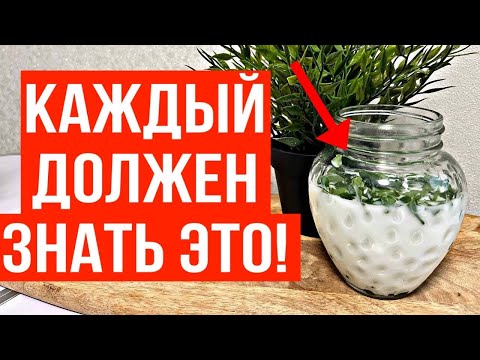 Бабушка 86 лет Почти не Ходила, Но после Этого Стала Бегать На Стадионе Каждое Утро