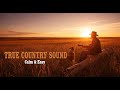 PURE COUNTRY GOLD: TIMELESS COUNTRY BALLADS COLLECTION