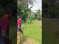Tersembunyi di Dalam Rumput… Rahasia Saluran Air Baru Terungkap!#10