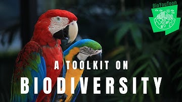 Introduction to Biodiversity | A Teaser | BioYouToon | EU Erasmus+ project