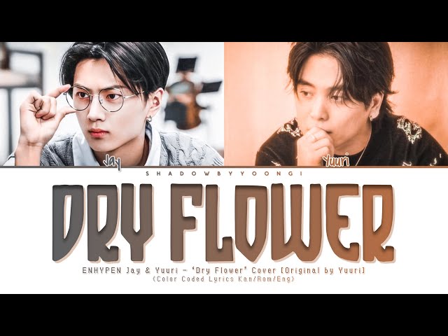 ENHYPEN JAY & Yuuri - 'Dry Flower' Lyrics (Color Coded Kan/Rom/Eng) | ShadowByYoongi