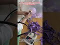 Art of Professional Balloon Stuffing with This Simple Guide
