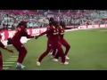 Dj bravo champion song with 2016 best westindies moments