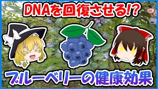 DNAを回復させる！？ブルーベリーの驚愕の健康効果を深堀り！【ゆっくり解説】