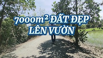 7000m² đất đẹp lên vườn oto tới nơi, gần bến xe buýt hậu mỹ bắc b, cái bè, tiền giang