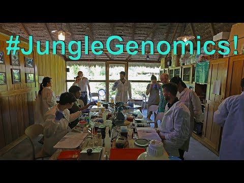 Genomics in the Jungle: First Molecular Lab in the Amazon Rainforest