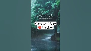 سورة الأعلى بصوت جميل جداً #القرآن_الكريم