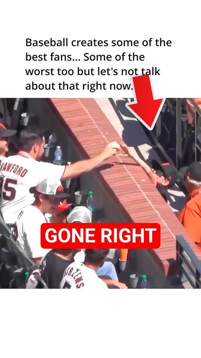 No One Else Like Them #baseball #baseballszn #baseballhighlights #shorts #fans #aww - YouTube