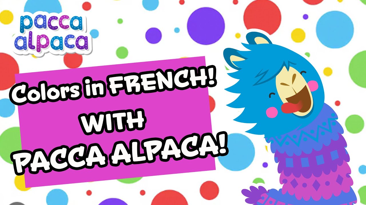Learn First Words and COLOURS in FRENCH with Pacca Alpaca 🌈 🇫🇷 🌈