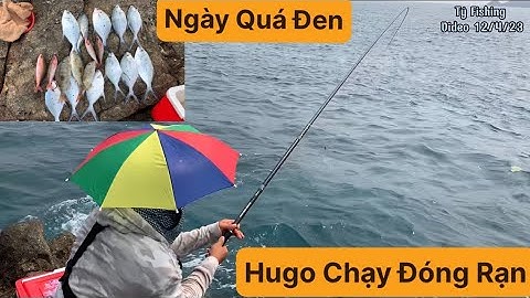 Câu Cá Biển Tự Nhiên, Câu Ghềnh, Gặp Hugo, Cá Chang, Cá Đỏ, Cá Cót. TÝ FISHING.