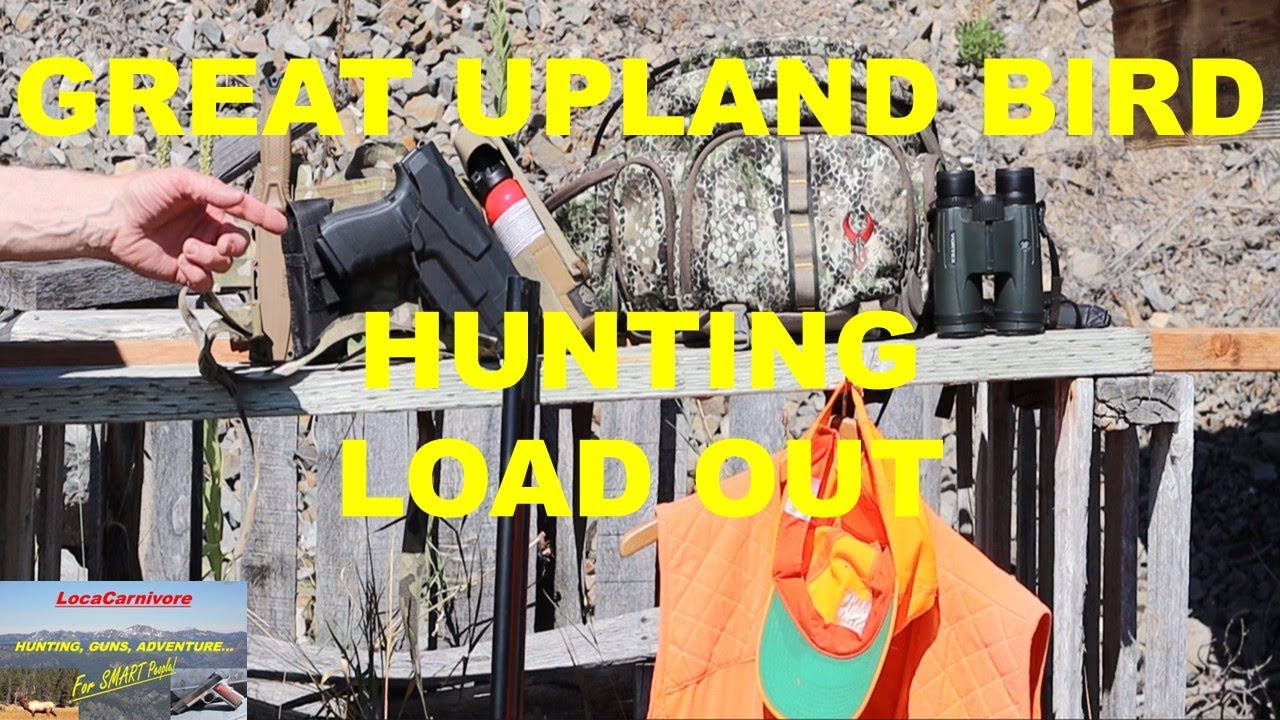 My Great UPLAND BIRD HUNTING Load Out - YouTube
