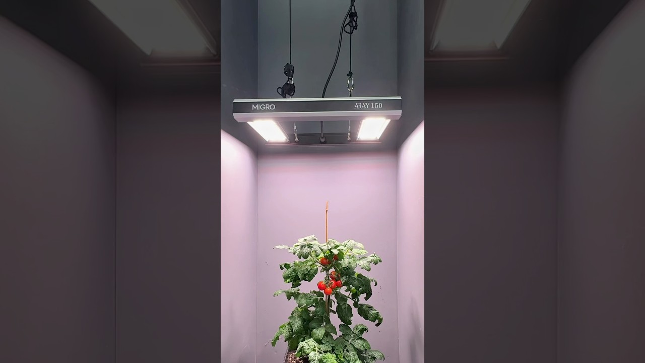 How do YOU use Rope Ratchet Hangers?