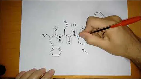Como podemos identificar um aminoácido?