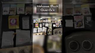 🦍Guerilla grow July 6th update Round 2