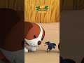 Playing Ball with Beetles! ⚾🪲 | Leo the Wildlife Ranger #shorts #animals #education #kids