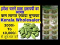 इलायची (Ilaychi) Business WhAp 9819283849 हमेंशा चलने वाला व्यापार | कम लागत ज़्यादा मुनाफा!