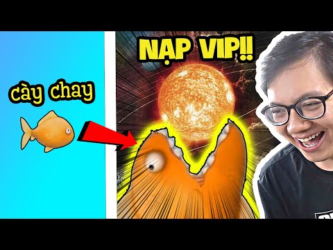 Video Nạp Lần Đầu Thành Công, Tôi Có Cá Vàng VIP Nhất Thế... - youtube