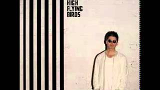 Watch Noel Gallaghers High Flying Birds While The Song Remains The Same video