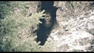 The MOST Convincing New Bigfoot Evidence EVER Recorded Has Experts SHOCKED!