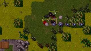 Nova PK Tibia