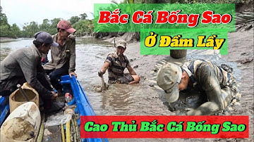 Đi Bắt Cá Bống Sao Ở Rạch Lá#20#CuộcSốngMiềnQuê