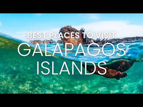 Galapagos Islands Ecuador | Galapagos Islands Travel Vlog | Islas Galapagos | Ecuador Travel