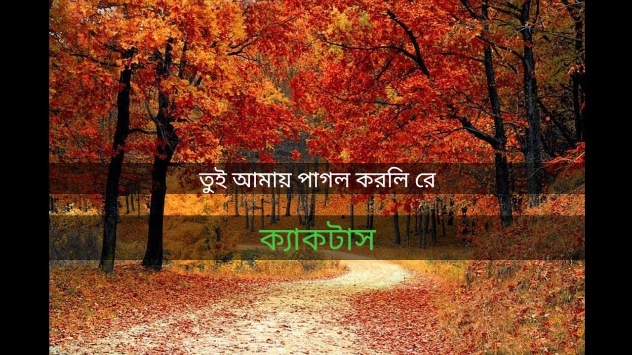 Bodhu Re | Tui Amay Pagol Korli Re |  Karaoke With Lyrics | Pota | Cactus | Rajar Raja