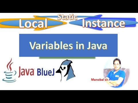 Variable in java | local instance and static variable | ICSE Class 10 ...