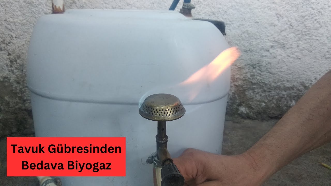 Tavuk Gübresinden Enerji Üretmek Bedava Biyogaz Sistemi Kurun.Maliyetsiz  biogas from chicken manure