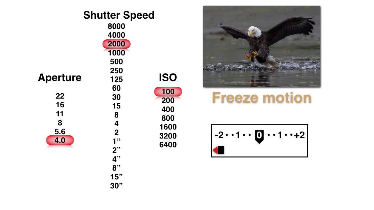 Aperture Shutter Speed Iso Chart