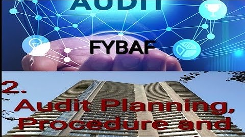 FYBAF Sem II Auditing Lesson-2 Audit Planning, procedure & documentation Obj