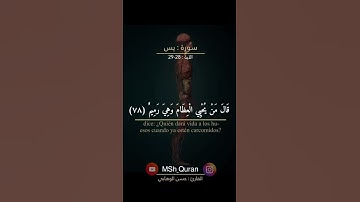 آيات من سورة - يس | للقارئ حسن الوهابي  | وَضَرَبَ لَنَا مَثَلًا وَنَسِىَ خَلْقَهُ