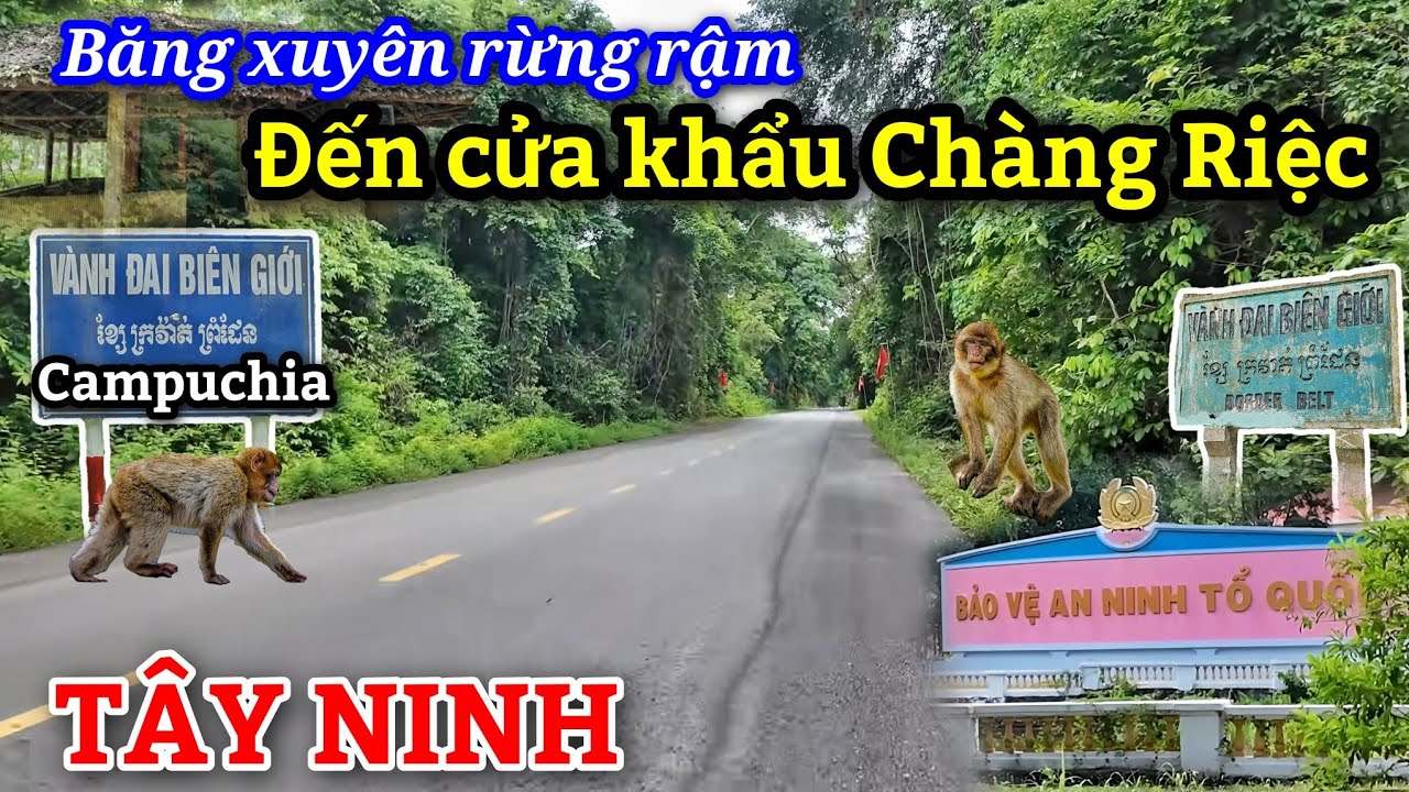 Biên giới Campuchia giáp với rừng ở VN - Cửa khẩu Chàng Riệc nhập hạt điều từ Campuchia về chế biến