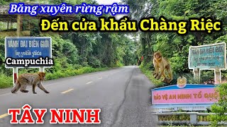 Biên giới Campuchia giáp với rừng ở VN - Cửa khẩu Chàng Riệc nhập hạt điều từ Campuchia về chế biến