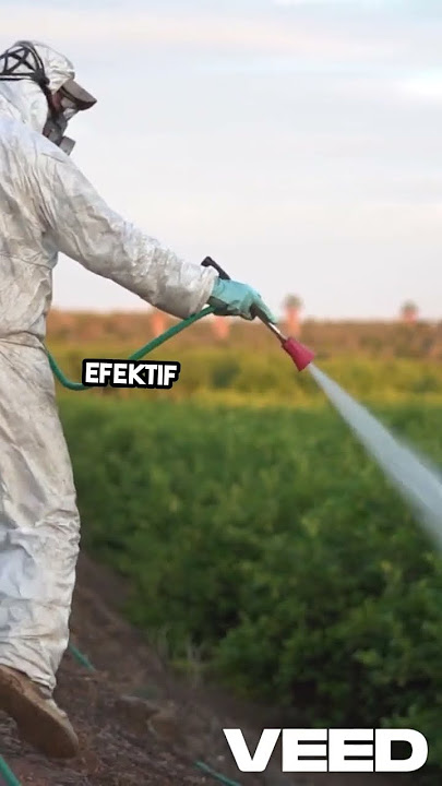 Fakta Menarik Pestisida  Sains & Kesehatan! #science #senyawa #faktamenarik