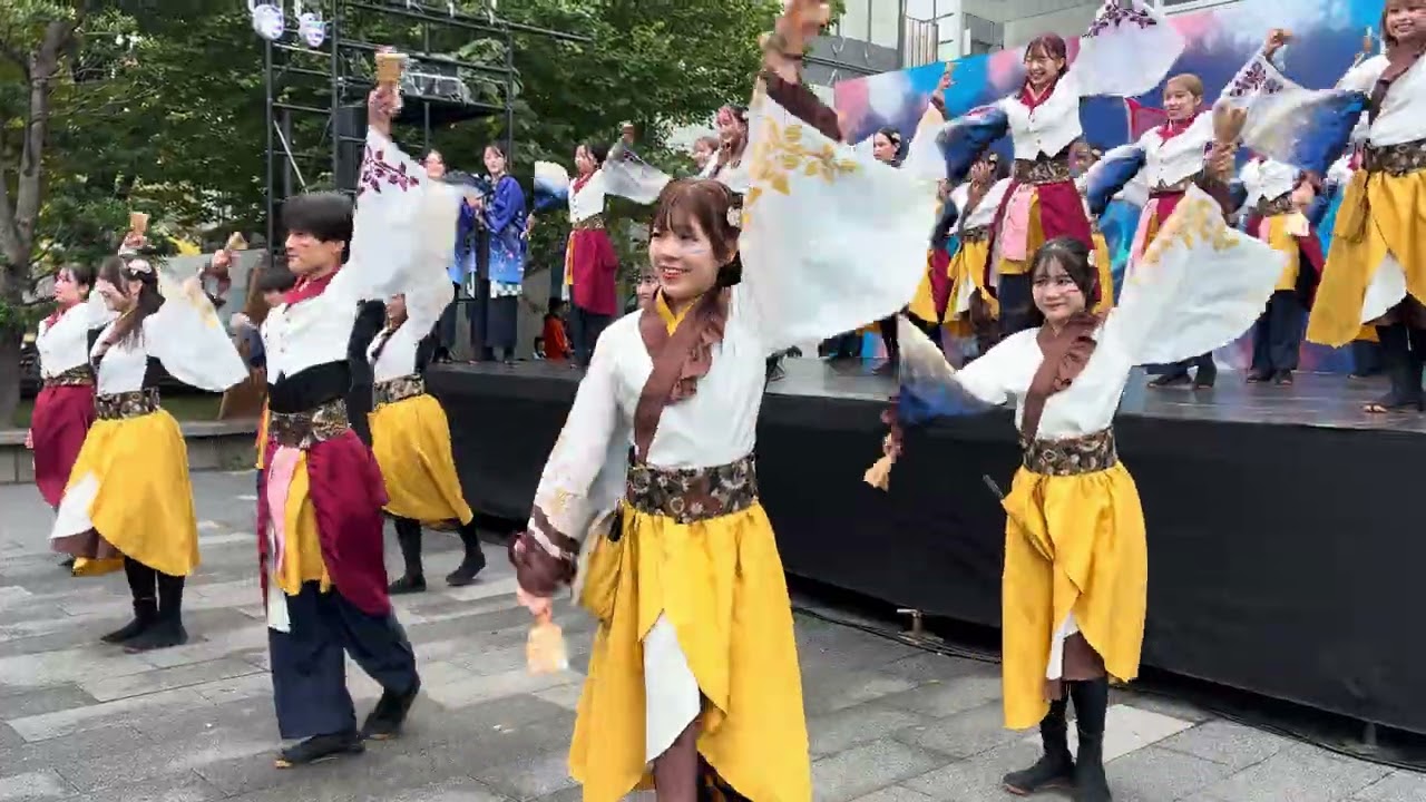 早稲田祭　東京花火　彩の輪