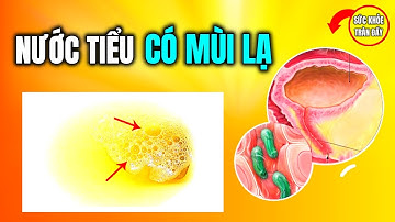 Nước Tiểu Sủi Bọt Có Màu Và Mùi Lạ Dấu Hiệu Bệnh Gì ?