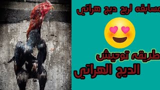 طريقه توحيش الديج الهراتي + كلام حول مسابقه لربح ديج هراتي #subscribe  #like