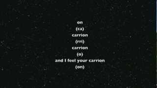 Video thumbnail of "Kevin Sherwood - Carrion (Lyrics Video) Tranzit Song"